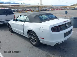 2014 Ford Mustang V6 with VIN 1ZVBP8EM4E5243008, listed as a IAAI auction lot 41572234 with 114,392 mi miles. Bid and sale history available at carsss.com. Image 3.