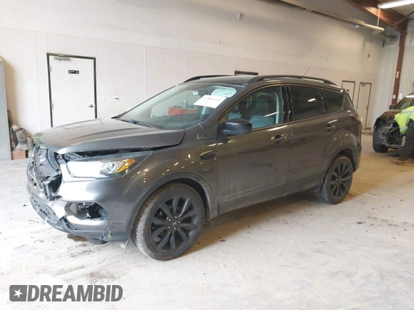 2017 Ford Escape SE with VIN 1FMCU0GD1HUC33119, listed as a IAAI auction lot 41884514 with 99,537 mi miles. Bid and sale history available at carsss.com. Image 17.