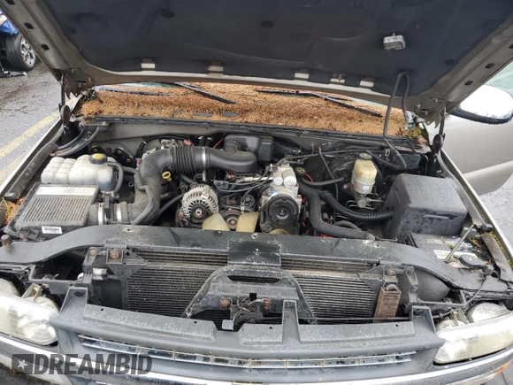 2002 Chevrolet Silverado 1500 LS with VIN 2GCEC19W321137001, listed as a Copart auction lot 57033585 with 132,877 mi miles and Clean Title. Bid and sale history available at DreamBid. Image 11.