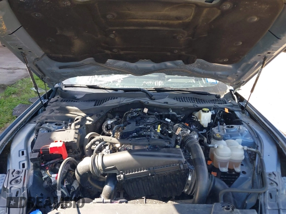 2024 Ford Mustang EcoBoost with VIN 1FA6P8TH3R5109807, listed as a IAAI auction lot 41916951 with Not provided miles and . Bid and sale history available at DreamBid. Image 10.