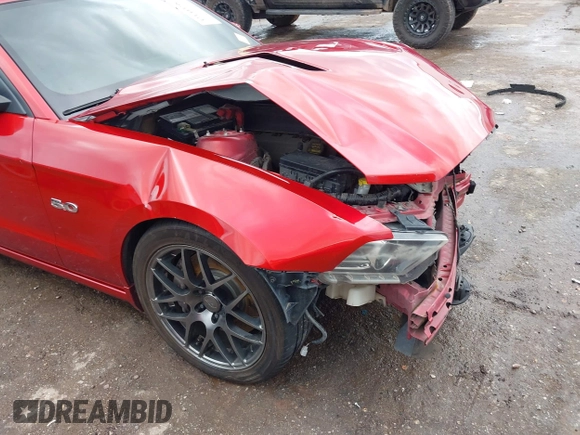 2013 Ford Mustang GT with VIN 1ZVBP8CF5D5209257, listed as a IAAI auction lot 42141198 with 124,462 mi miles and . Bid and sale history available at DreamBid. Image 6.