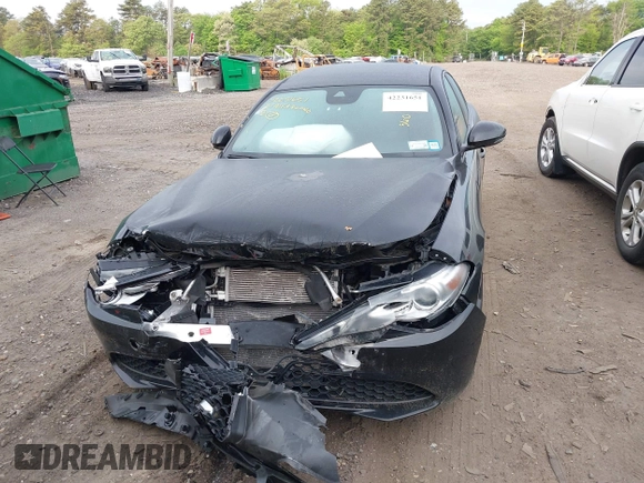 2021 Alfa Romeo Giulia Ti z VIN ZARFANBN5M7643816, wystawiony jako IAAI lot #42231651 z przebiegiem 36 195 mil mil oraz . Historia ofert i sprzedaży dostępna na DreamBid. Obrazek 12.