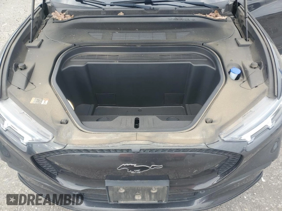 2022 Ford Mustang Mach-E California Route 1 with VIN 3FMTK2SU3NMA41807, listed as a Copart auction lot 49099095 with 54,268 mi miles and Salvage Title. Bid and sale history available at DreamBid. Image 12.