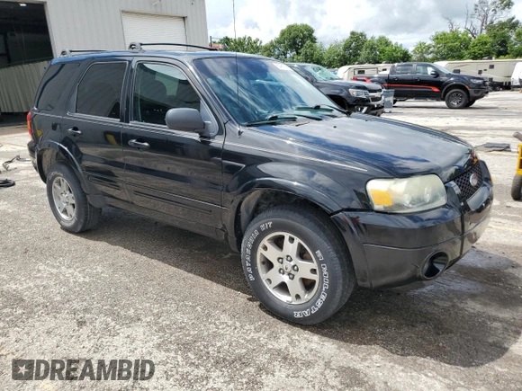 2005 Ford Escape Limited with VIN 1FMYU94145KE17773, listed as a Copart auction lot 60451635 with 181,098 mi miles and Salvage title. Bid and sale history available at DreamBid. Image 4.