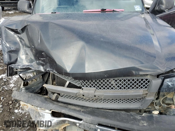 2005 Chevrolet Silverado 1500 with VIN 1GCEK19V75E230214, listed as a Copart auction lot 88054405 with 0 mi miles and Salvage Title. Bid and sale history available at carsss.com. Image 11.