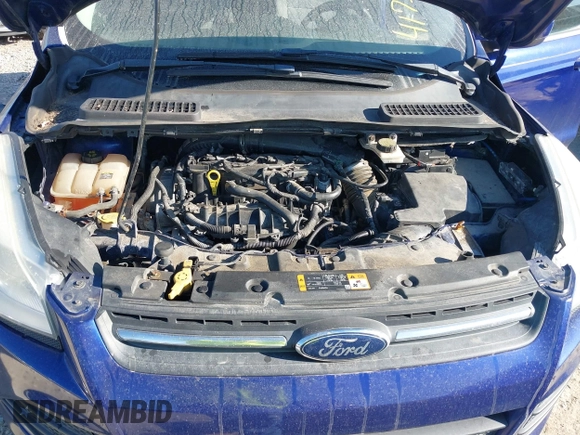 2013 Ford Escape SE with VIN 1FMCU0GX9DUC33969, listed as a IAAI auction lot 41737582 with 132,629 mi miles. Bid and sale history available at carsss.com. Image 10.