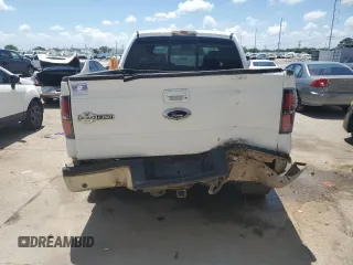 2009 Ford F-150 XL with VIN 1FTPW14VX9KA17124, listed as a Copart auction lot 55144375 with 257,748 mi miles and Salvage title. Bid and sale history available at DreamBid. Image 6.
