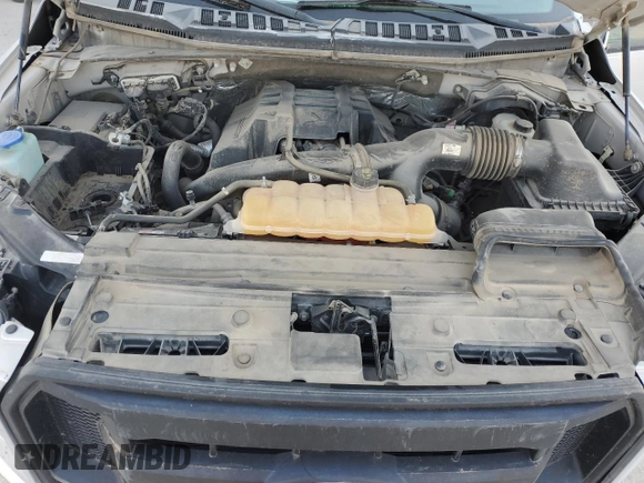 2016 Ford F-150 XLT with VIN 1FTEX1EP5GKE24219, listed as a Copart auction lot 52433885 with 109,483 mi miles and Salvage Title. Bid and sale history available at carsss.com. Image 11.