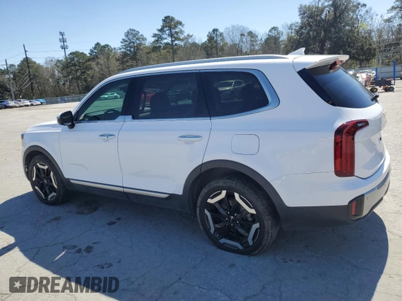 2023 Kia Telluride S with VIN 5XYP64GC4PG330832, listed as a Copart auction lot 48493365 with 68,999 mi miles and Salvage Title. Bid and sale history available at carsss.com. Image 2.
