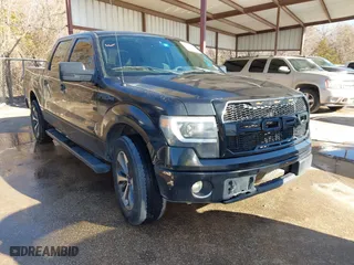 2013 Ford F-150 XL with VIN 1FTEW1CM8DKD11095, listed as a IAAI auction lot 41658268 with 215,583 mi miles. Bid and sale history available at carsss.com. Image 1.