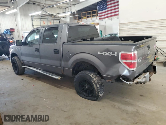 2010 Ford F-150 XL with VIN 1FTFW1EV5AKE16361, listed as a Copart auction lot 49160425 with 125,483 mi miles and Non Repairable. Bid and sale history available at carsss.com. Image 2.