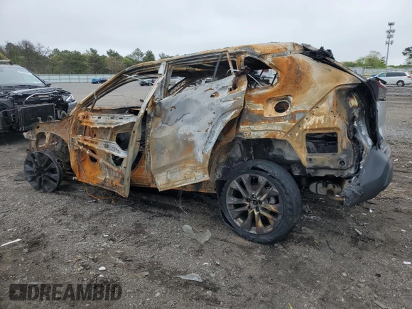 2023 Toyota RAV4 XLE Premium with VIN JTMA1RFV7PJ041903, listed as a Copart auction lot 56928875 with Not provided miles and Salvage title. Bid and sale history available at DreamBid. Image 2.