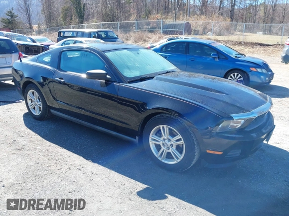 2011 Ford Mustang V6 with VIN 1ZVBP8AM2B5153163, listed as a IAAI auction lot 41645917 with 286,609 mi miles and . Bid and sale history available at carsss.com. Image 1.