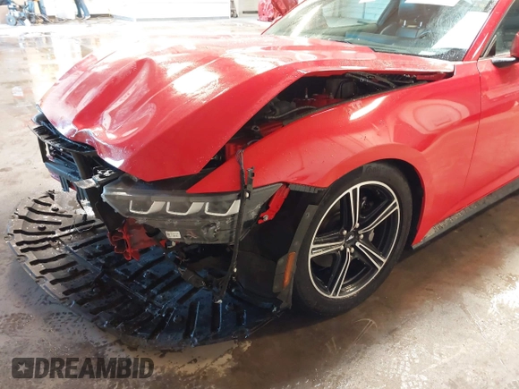 2024 Ford Mustang EcoBoost with VIN 1FA6P8TH0R5113118, listed as a IAAI auction lot 41246525 with 19,848 mi miles and . Bid and sale history available at DreamBid. Image 6.