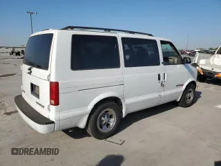 2002 Chevrolet Astro with VIN 1GNEL19X12B127227, listed as a Copart auction lot 77872814 with Not Provided miles and Salvage Title. Bid and sale history available at carsss.com. Image 3.