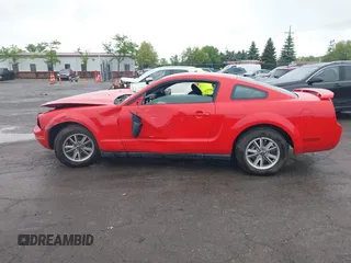 2005 Ford Mustang Deluxe with VIN 1ZVFT80N555110559, listed as a IAAI auction lot 42320778 with 117,594 mi miles and . Bid and sale history available at DreamBid. Image 14.