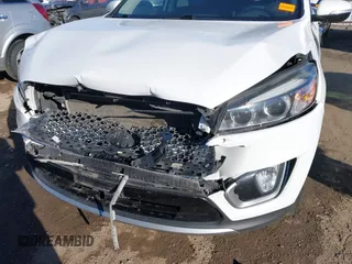 2017 Kia Sorento EX V6 with VIN 5XYPH4A56HG222220, listed as a IAAI auction lot 41330218 with 189,235 mi miles. Bid and sale history available at carsss.com. Image 6.