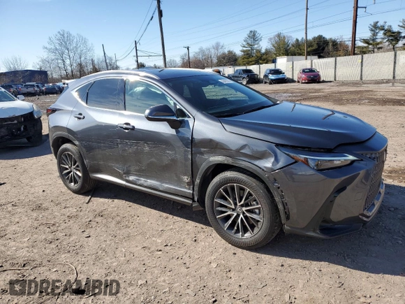 2024 Lexus NX with VIN 2T2AGCEZXRC037869, listed as a Copart auction lot 45483365 with 8,176 mi miles and Salvage Title. Bid and sale history available at carsss.com. Image 4.