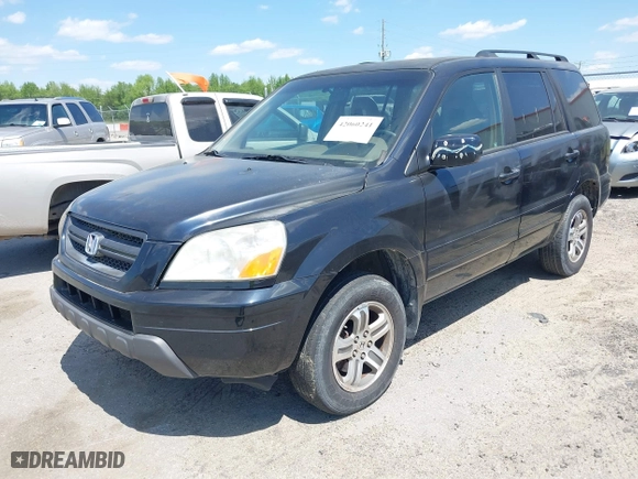 2004 Honda Pilot EX with VIN 2HKYF18524H546430, listed as a IAAI auction lot 42060241 with 126,931 mi miles. Bid and sale history available at carsss.com. Image 2.