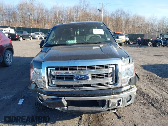 2013 Ford F-150 XL with VIN 1FTFW1EF1DFC93261, listed as a IAAI auction lot 41775876 with 49,767 mi miles. Bid and sale history available at carsss.com. Image 12.