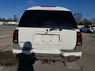 2006 Chevrolet TrailBlazer LS with VIN 1GNET16S266105051, listed as a Copart auction lot 79528534 with 223,228 mi miles and Salvage Title. Bid and sale history available at DreamBid. Image 6.