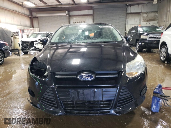 2013 Ford Focus SE with VIN 1FADP3F20DL294906, listed as a Copart auction lot 49699715 with 210,290 mi miles and Salvage Title. Bid and sale history available at carsss.com. Image 5.
