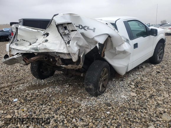 2010 Ford F-150 XL with VIN 1FTMF1EW4AKE00975, listed as a Copart auction lot 86004554 with 290,849 mi miles and Non Repairable. Bid and sale history available at DreamBid. Image 3.