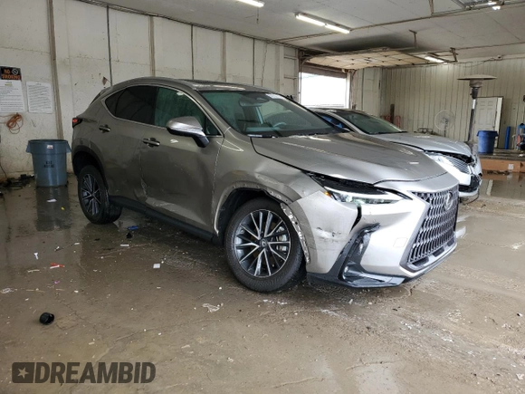 2022 Lexus NX 350 Premium с VIN 2T2GGCEZ8NC008617, выставлен на аукционе Copart как лот 51159575 с пробегом 19 485 миль миль и Списание • Salvage title. История ставок и продаж доступна на DreamBid. Изображение 4.