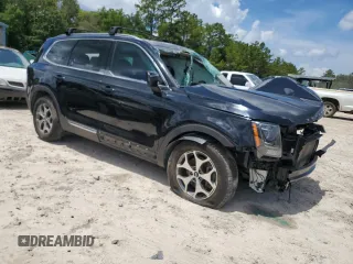 2020 Kia Telluride EX with VIN 5XYP3DHC8LG026310, listed as a Copart auction lot 61509905 with Not provided miles and Non repairable. Bid and sale history available at DreamBid. Image 4.