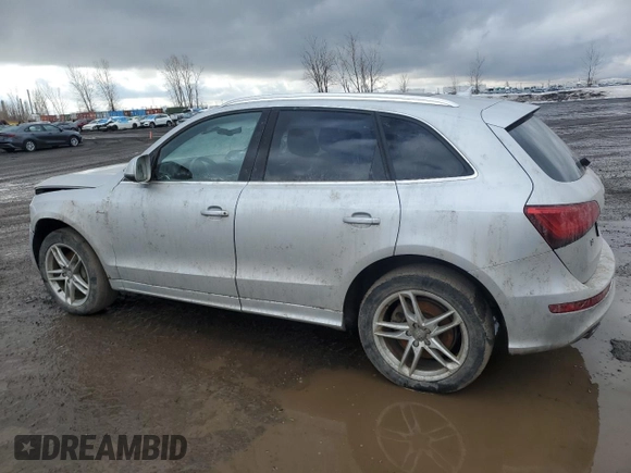 2014 Audi Q5 with VIN WA1DGCFP3EA042581, listed as a Copart auction lot 50334365 with 271,793 mi miles and Salvage title. Bid and sale history available at DreamBid. Image 2.
