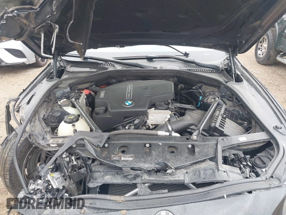 2015 BMW 5 Series 528i xDrive with VIN WBA5A7C5XFD621439, listed as a IAAI auction lot 42313365 with 109,510 mi miles and . Bid and sale history available at DreamBid. Image 10.