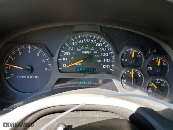 2003 Chevrolet TrailBlazer LS with VIN 1GNDS13S532192384, listed as a Copart auction lot 45486165 with 242,166 mi miles and Salvage Title. Bid and sale history available at carsss.com. Image 9.