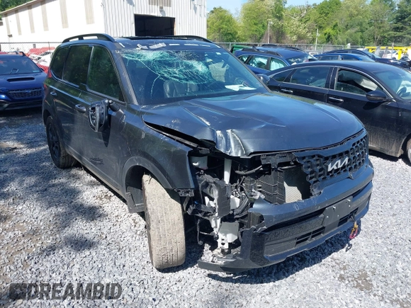 2024 Kia Telluride EX X-Line with VIN 5XYP3DGC9RG539740, listed as a IAAI auction lot 42330422 with 28,216 mi miles and . Bid and sale history available at DreamBid. Image 6.