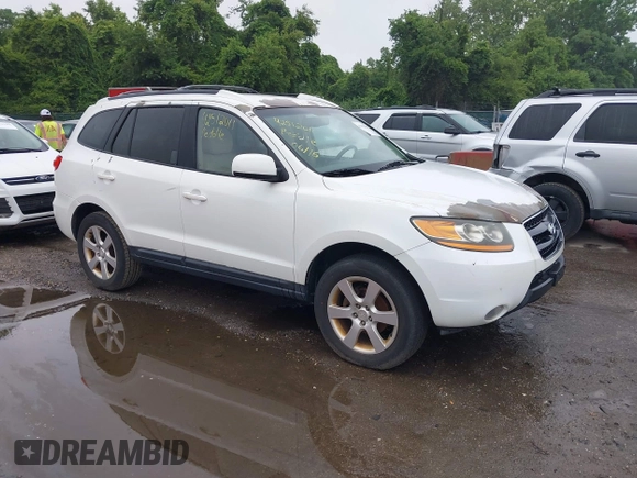 2009 Hyundai Santa Fe SE z VIN 5NMSH13E99H308912, wystawiony jako IAAI lot #42512011 z przebiegiem 231 808 mil mil oraz . Historia ofert i sprzedaży dostępna na DreamBid. Obrazek 1.