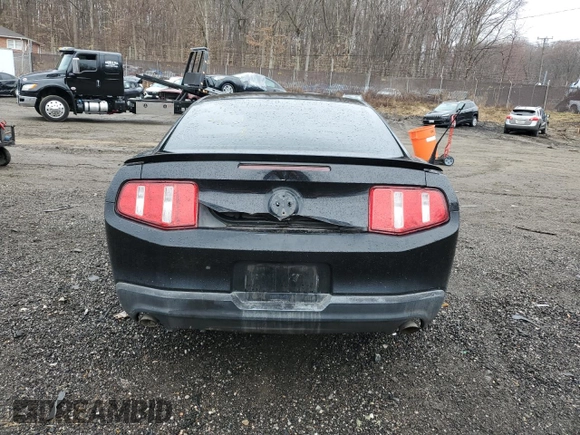 2010 Ford Mustang GT with VIN 1ZVBP8CH7A5112168, listed as a Copart auction lot 49946145 with Not Provided miles and Salvage Title. Bid and sale history available at carsss.com. Image 6.