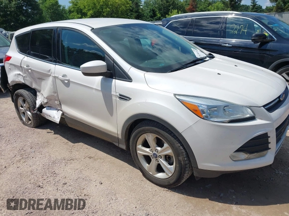 2014 Ford Escape SE with VIN 1FMCU9G94EUB01239, listed as a IAAI auction lot 42628460 with 122,032 mi miles and . Bid and sale history available at DreamBid. Image 1.