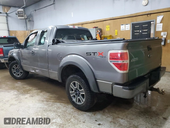 2013 Ford F-150 XL with VIN 1FTFX1EF7DFC53067, listed as a Copart auction lot 48018815 with 0 mi miles and Clean Title. Bid and sale history available at carsss.com. Image 2.