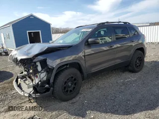 2019 Jeep Cherokee Limited with VIN 1C4PJMDX1KD310146, listed as a Copart auction lot 53109865 with 100,234 mi miles and Salvage Title. Bid and sale history available at carsss.com. Image 1.