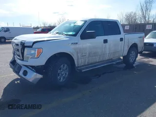 2013 Ford F-150 XL with VIN 1FTFW1ET3DKD37001, listed as a IAAI auction lot 41721169 with 137,271 mi miles. Bid and sale history available at carsss.com. Image 2.