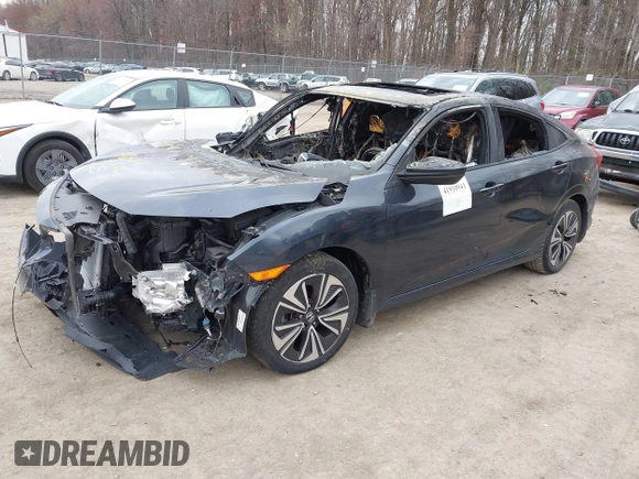 2016 Honda Civic EX-L z VIN 19XFC1F73GE033247, wystawiony jako IAAI lot #41910941 z przebiegiem Nie podano mil oraz . Historia ofert i sprzedaży dostępna na DreamBid. Obrazek 2.
