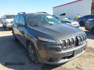 2017 Jeep Cherokee Latitude with VIN 1C4PJLCB8HW547553, listed as a IAAI auction lot 41666321 with 101,132 mi miles and . Bid and sale history available at DreamBid. Image 1.