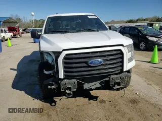 2017 Ford F-150 XL with VIN 1FTEW1EF3HFB62821, listed as a Copart auction lot 49506135 with 126,176 mi miles and Salvage Title. Bid and sale history available at carsss.com. Image 10.