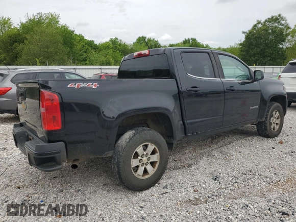 2017 Chevrolet Colorado 4WD WT with VIN 1GCGTBEN0H1314825, listed as a Copart auction lot 54017085 with 171,989 mi miles and Salvage title. Bid and sale history available at DreamBid. Image 3.