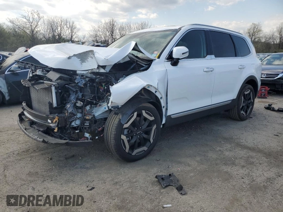 2023 Kia Telluride S with VIN 5XYP6DGC0PG384872, listed as a Copart auction lot 54167555 with 20,324 mi miles and Salvage title. Bid and sale history available at DreamBid. Image 1.
