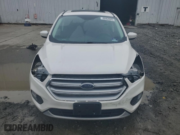 2017 Ford Escape SE with VIN 1FMCU0GD6HUC64348, listed as a Copart auction lot 49464525 with 82,273 mi miles and Salvage Title. Bid and sale history available at DreamBid. Image 5.