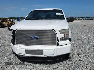 2016 Ford F-150 XL with VIN 1FTMF1C84GFC45611, listed as a Copart auction lot 61551625 with 127,010 mi miles and Salvage title. Bid and sale history available at DreamBid. Image 13.