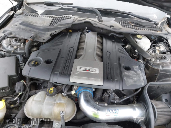 2019 Ford Mustang GT with VIN 1FA6P8CF0K5124320, listed as a IAAI auction lot 42314129 with 102,589 mi miles and . Bid and sale history available at DreamBid. Image 10.