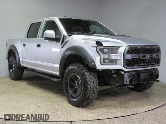 2017 Ford F-150 Raptor with VIN 1FTFW1RG7HFA87001, listed as a Copart auction lot 48576965 with 110,157 mi miles and Salvage Title. Bid and sale history available at carsss.com. Image 1.