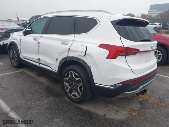 2021 Hyundai Santa Fe Limited with VIN 5NMS44AL5MH315413, listed as a IAAI auction lot 41205405 with 60,677 mi miles. Bid and sale history available at carsss.com. Image 3.