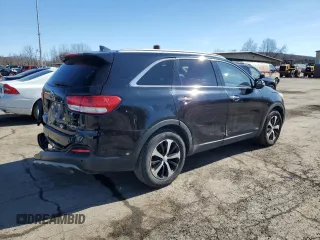 2017 Kia Sorento EX with VIN 5XYPHDA13HG324622, listed as a Copart auction lot 47050125 with 117,694 mi miles and Salvage Title. Bid and sale history available at carsss.com. Image 3.